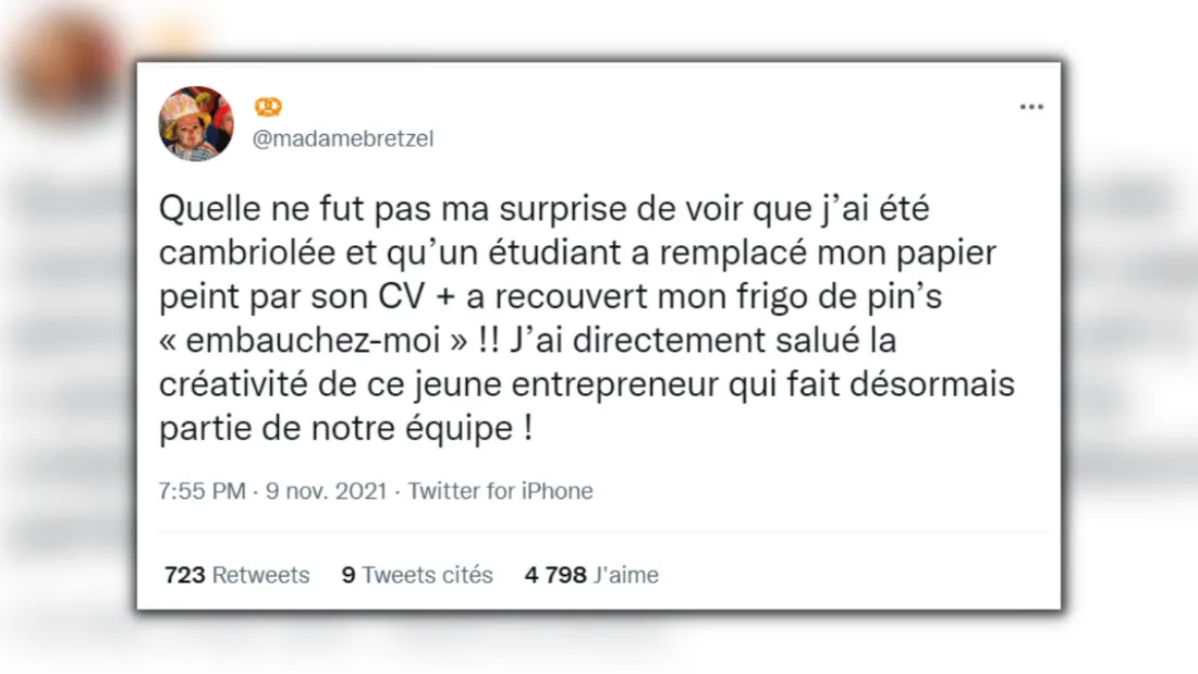 Parodies des CV originaux sur Twitter