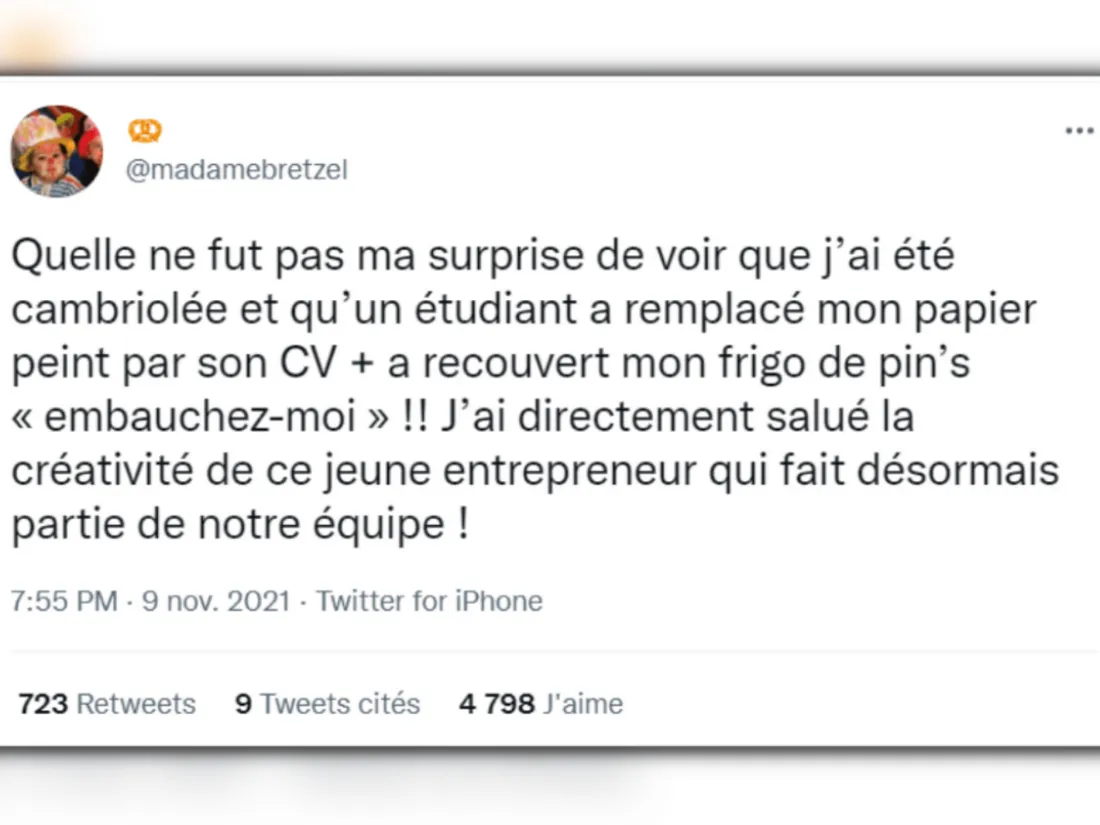 Parodies des CV originaux sur Twitter