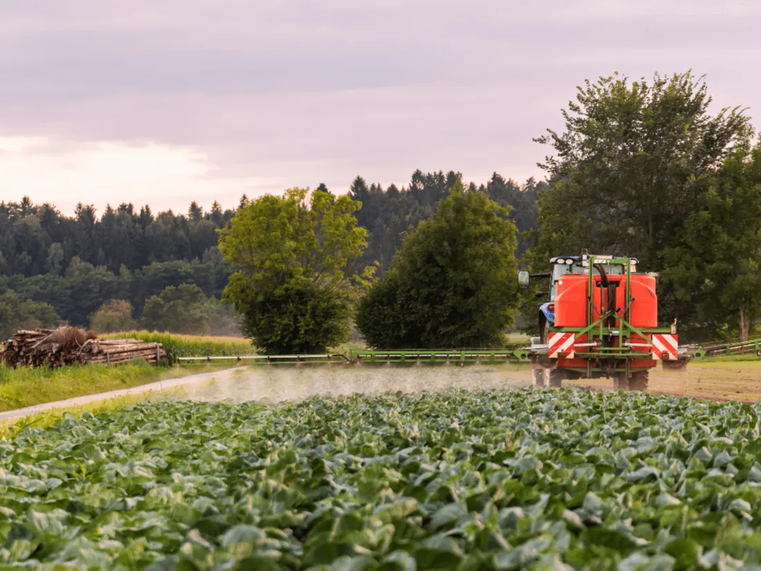 Pesticides