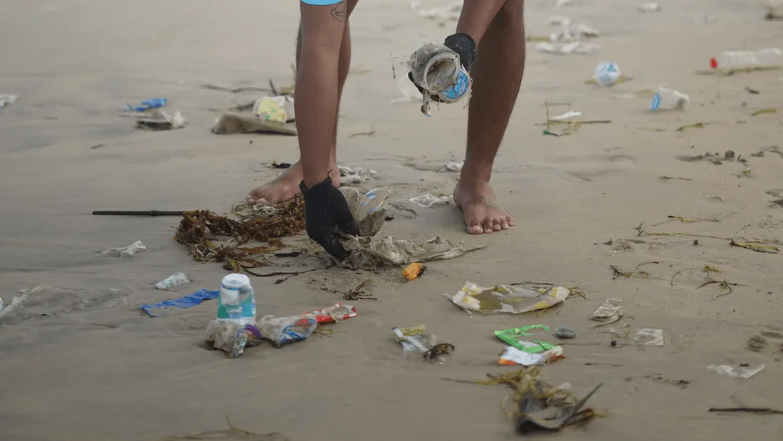 Au total, 93 plages sont "à éviter" et 316 "déconseillées".