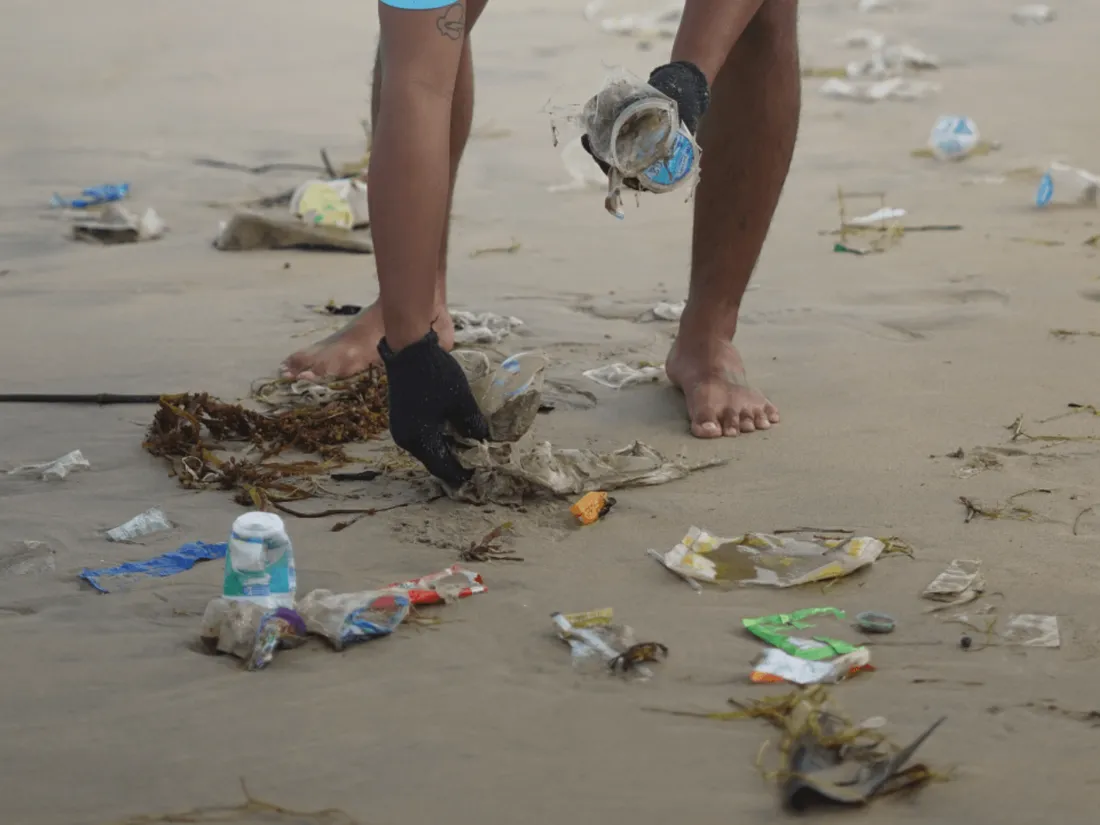 Au total, 93 plages sont "à éviter" et 316 "déconseillées".