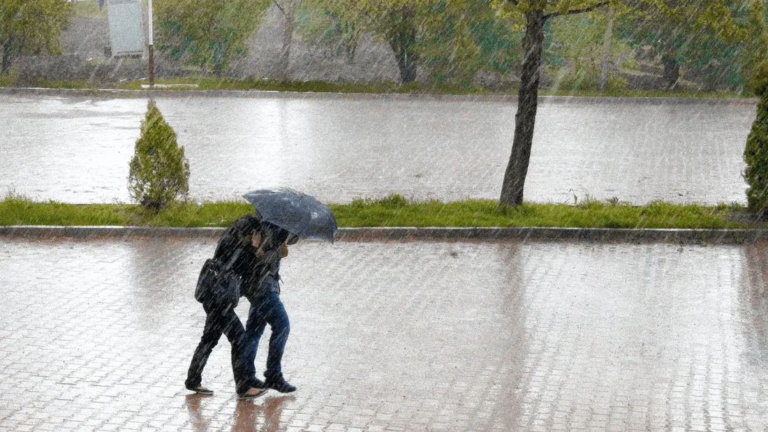 Pluie et vent