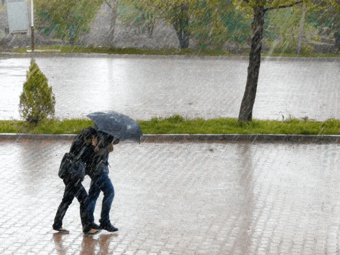 Pluie et vent