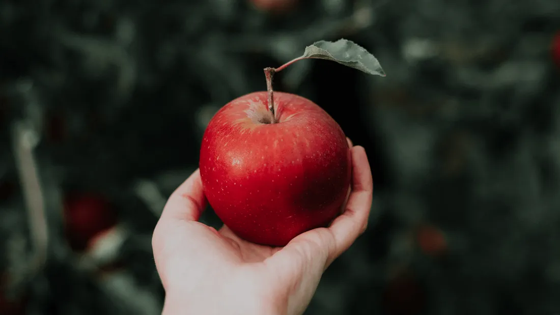 Pomme