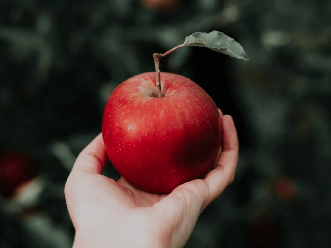 Pomme