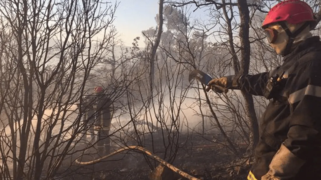 Les pompiers en intervention pour un feu de forêt