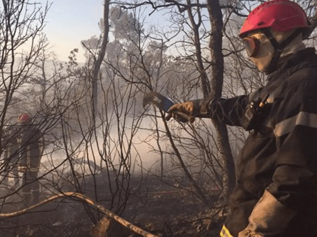 Les pompiers en intervention pour un feu de forêt
