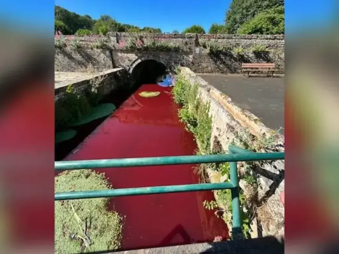 Deux-Sèvres : une rivière rouge de sang