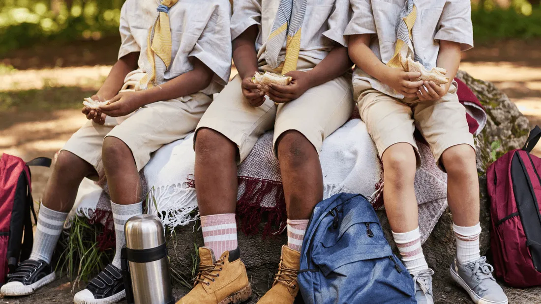 Scouts