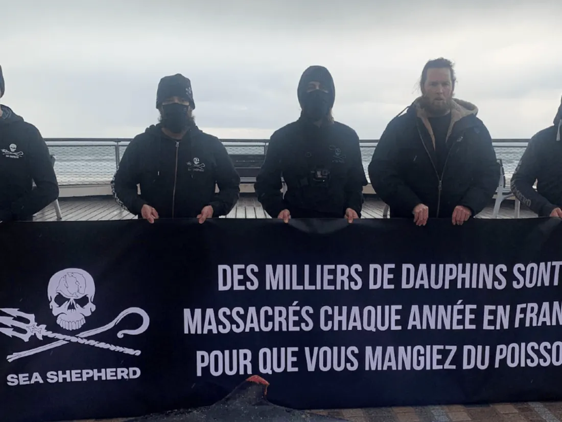 Les Sables-d'Olonne : Sea Shepherd expose un dauphin mort sur le remblai