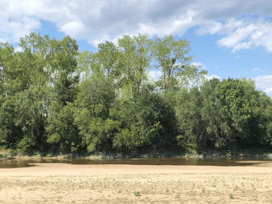 La Loire victime de séchersse