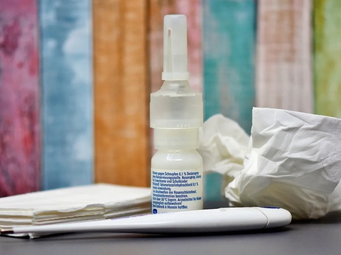 Spray nasal