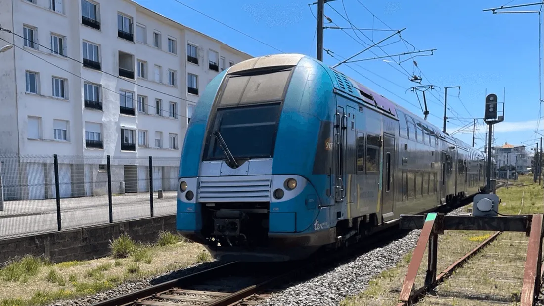 TER