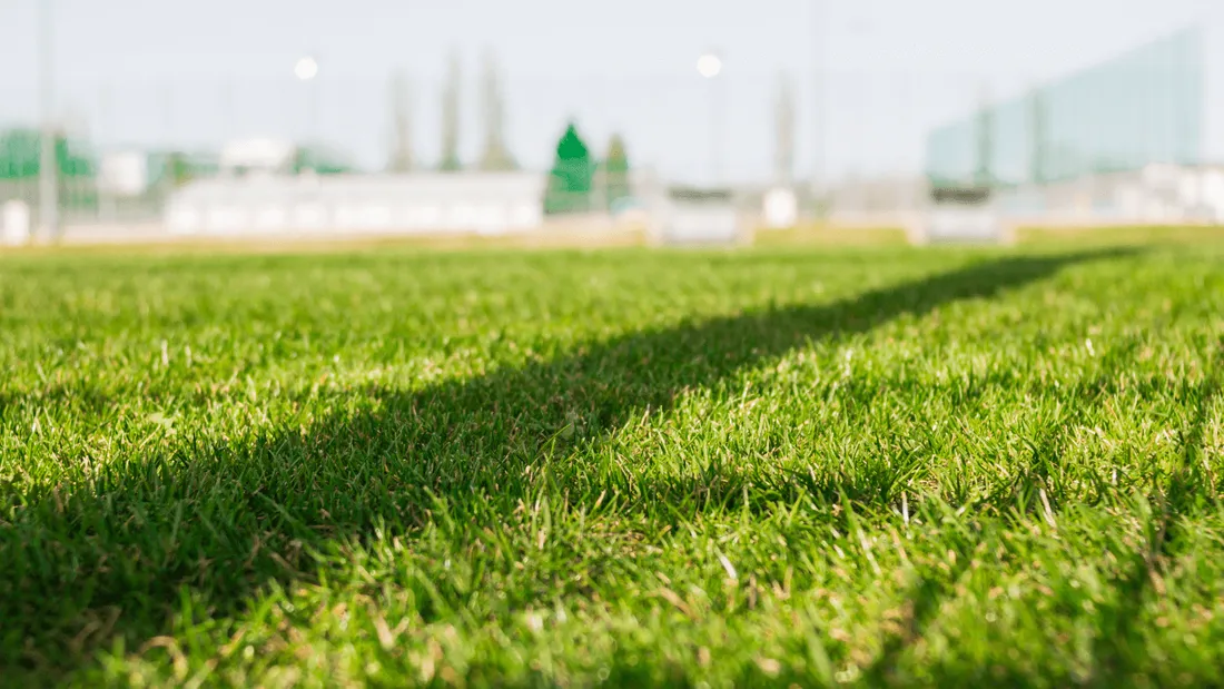 stade foot