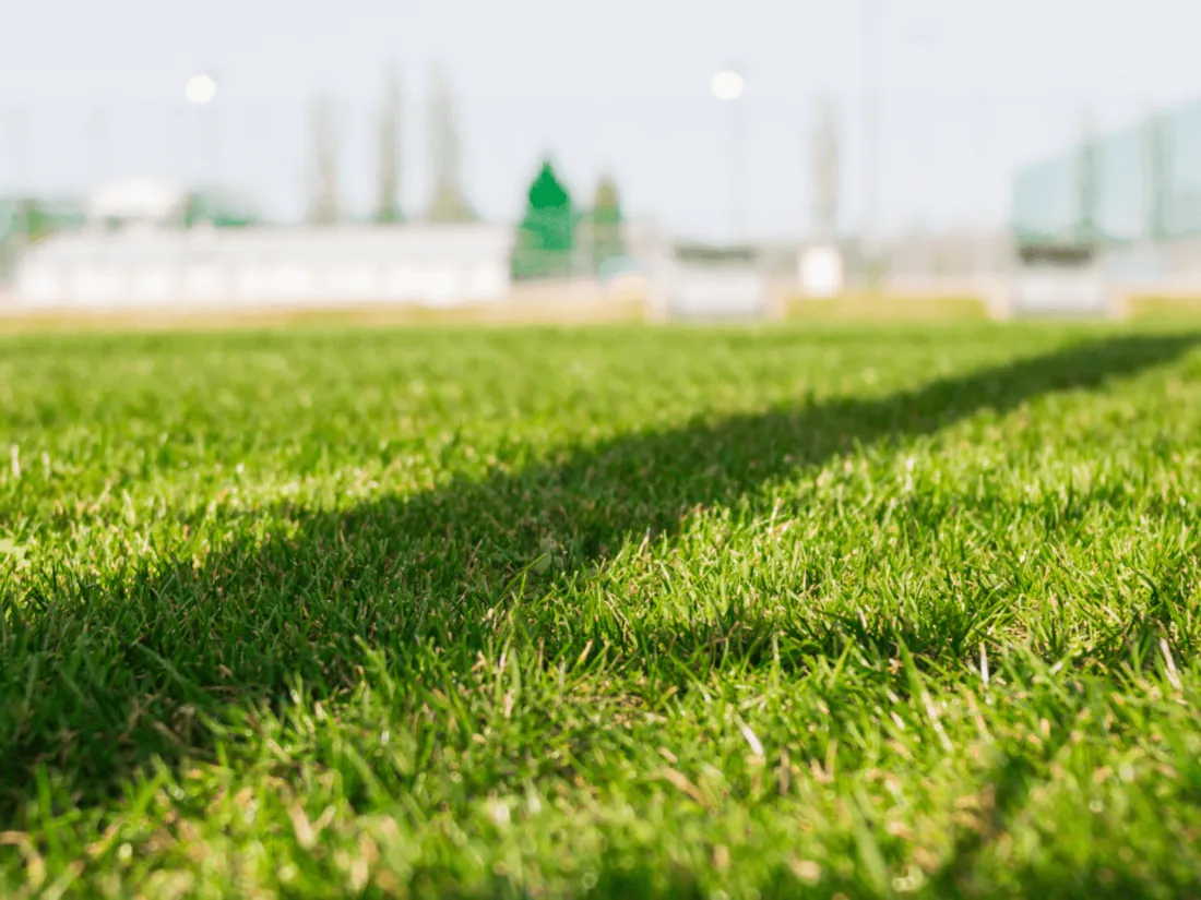 stade foot