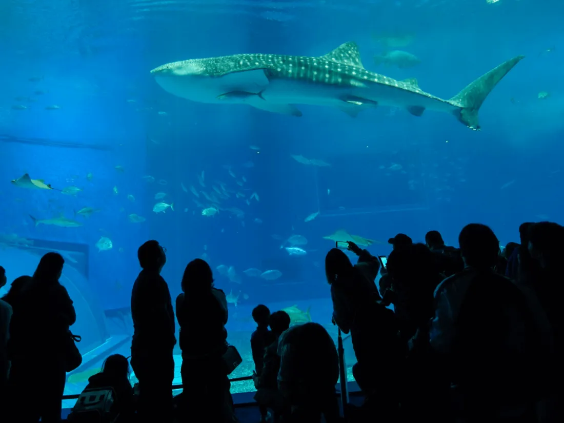 Ces sites touristiques du Grand Ouest rouvrent leurs portes ce week-end