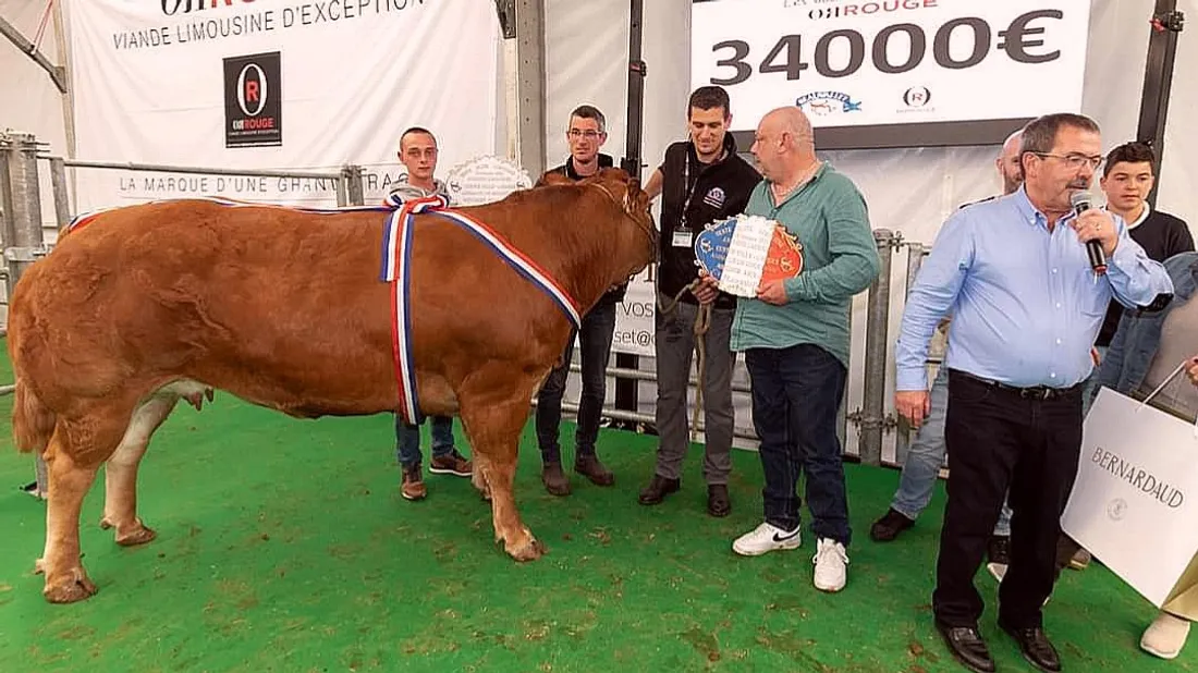 Vache adjugée 34.000 euros