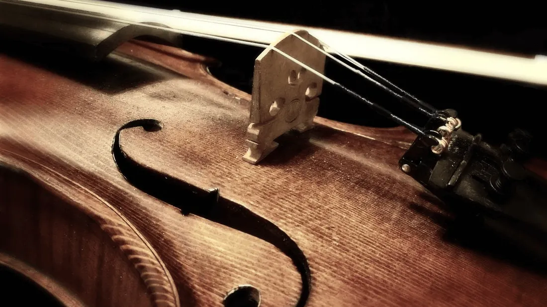 violon