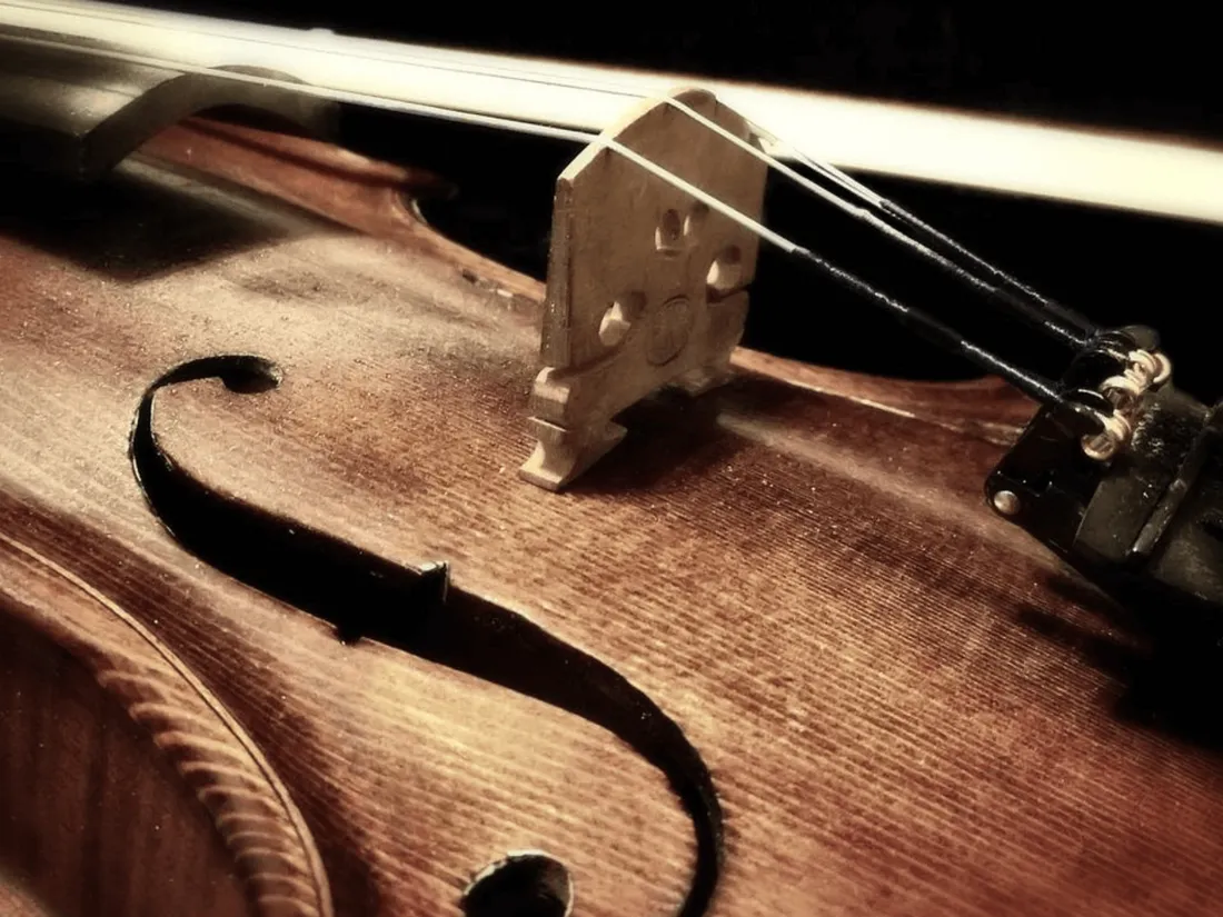 violon