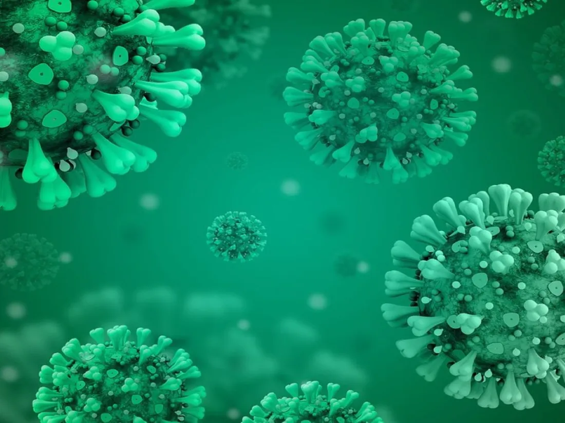 Virus