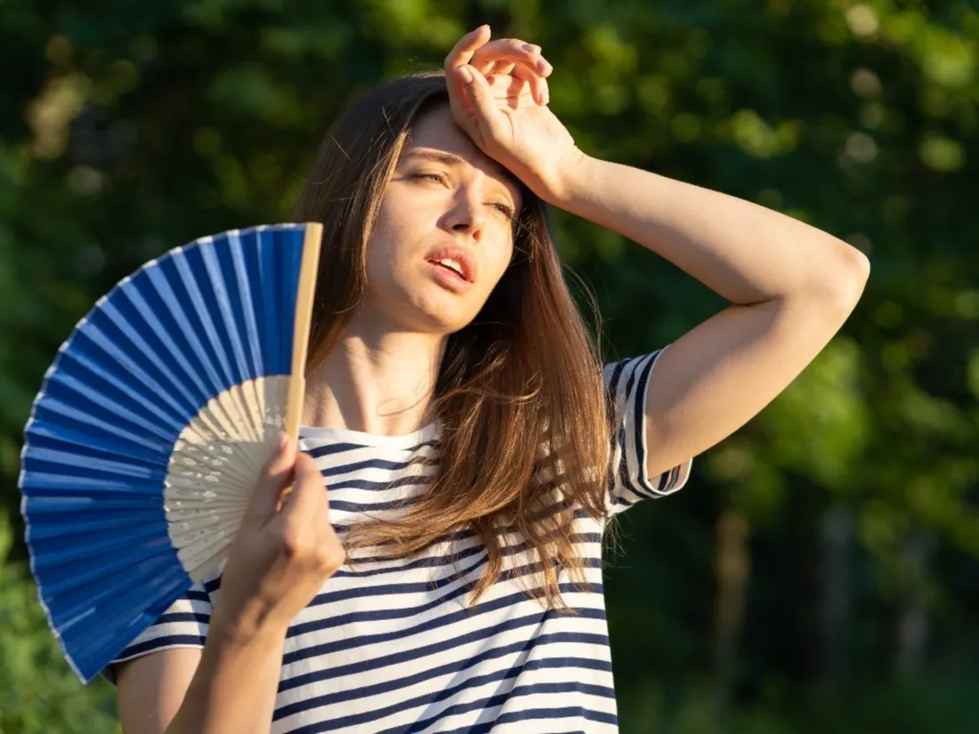 Les gestes à adopter en période de canicule