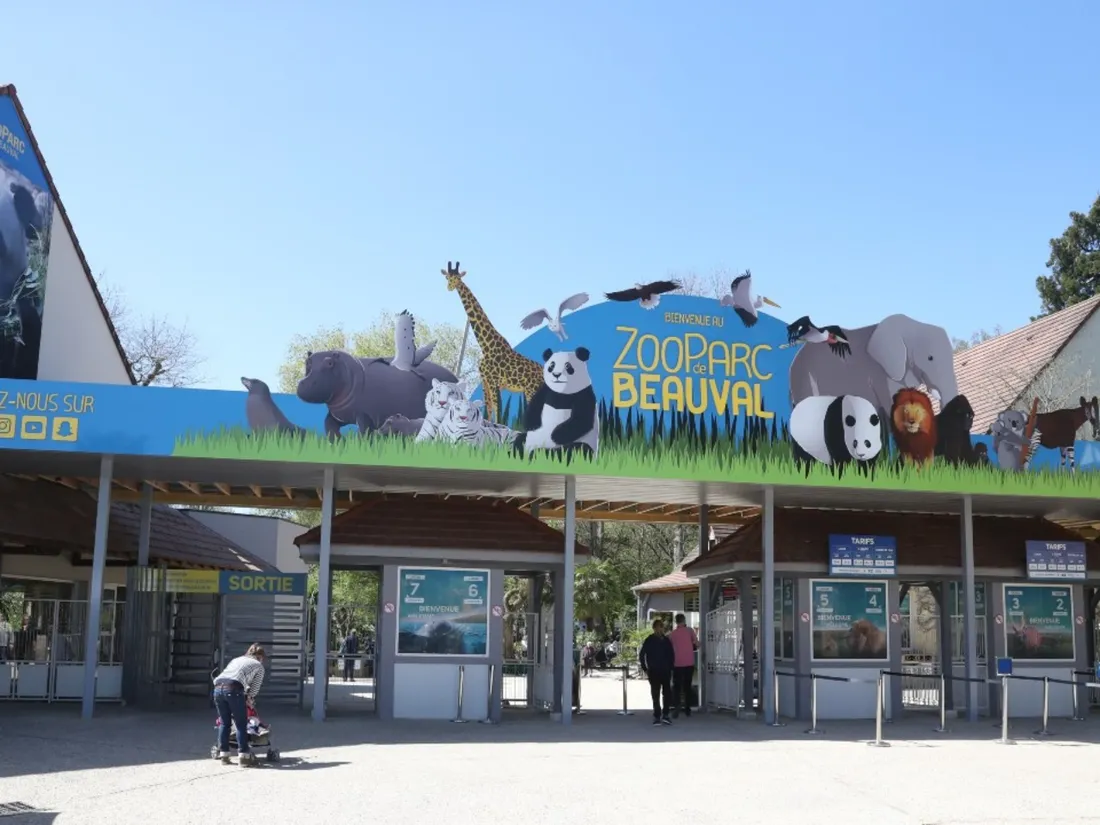 Zoo de Beauval