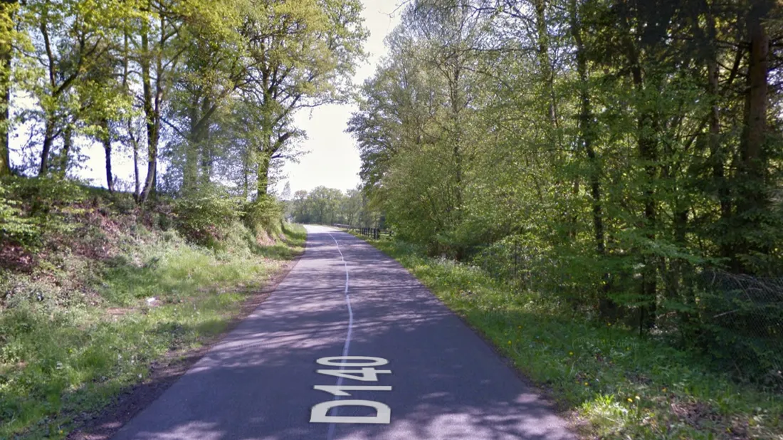 Capture Google Maps 