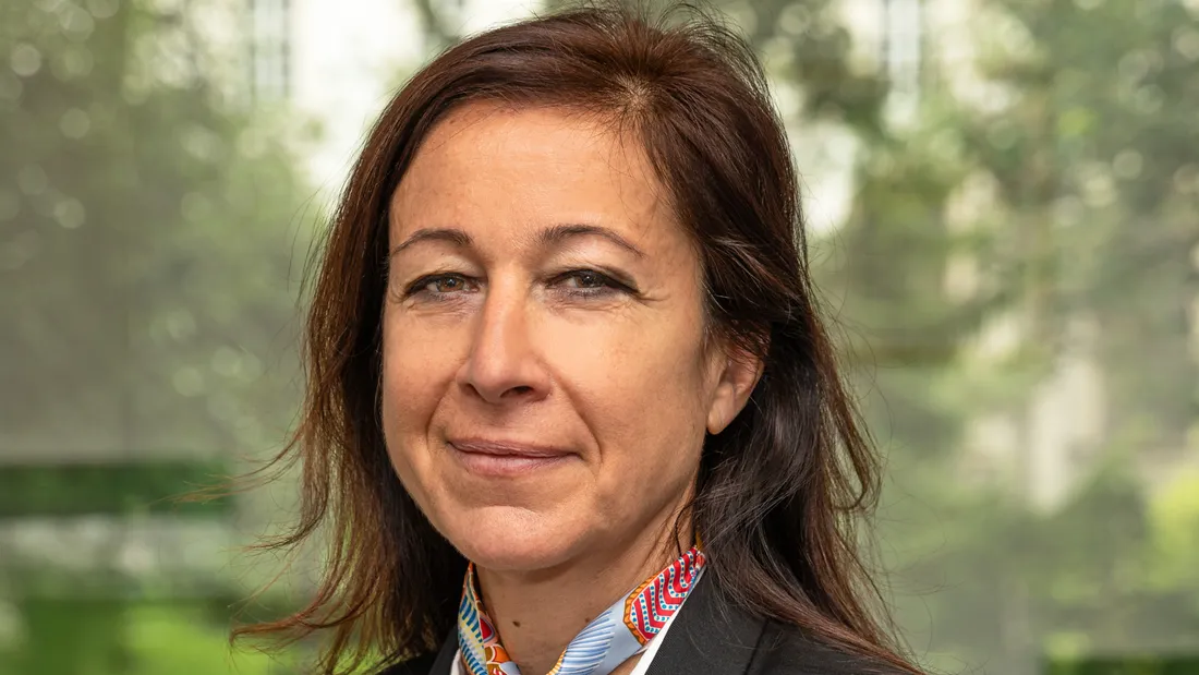 Clarisse Stein