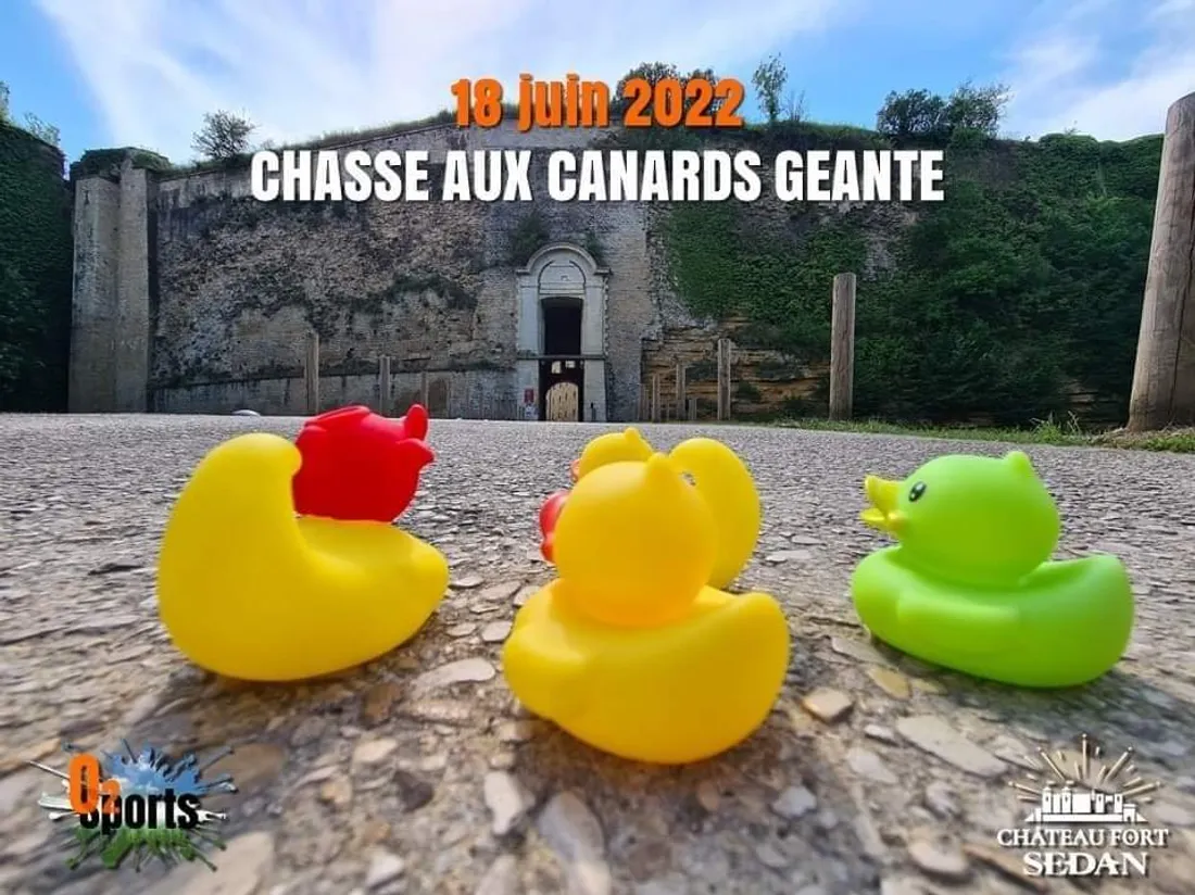chasse canards