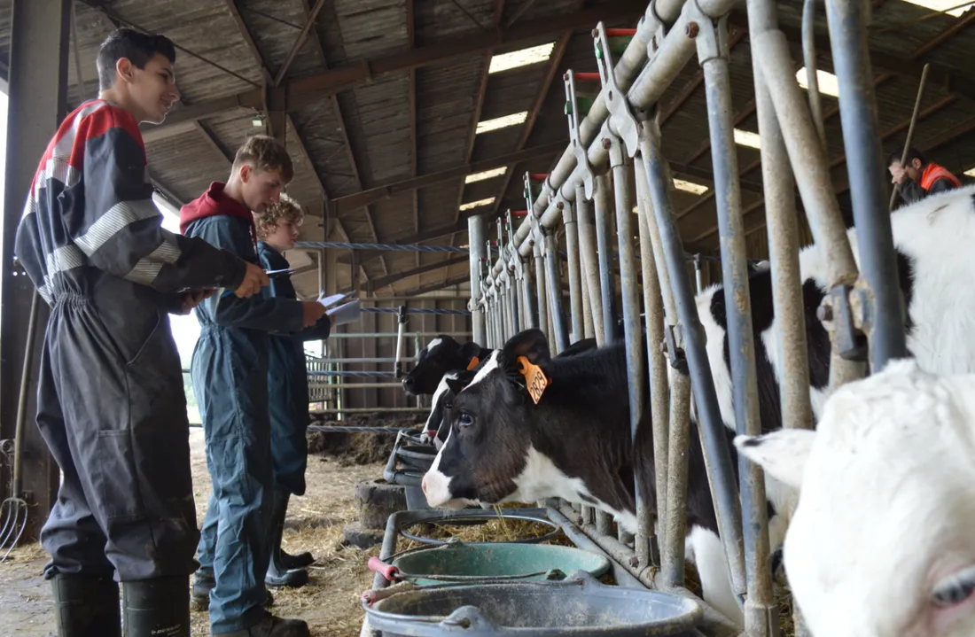 Formation agricole Saint Laurent