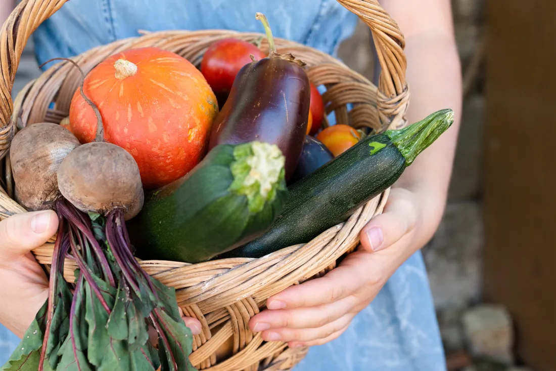 Panier de légumes