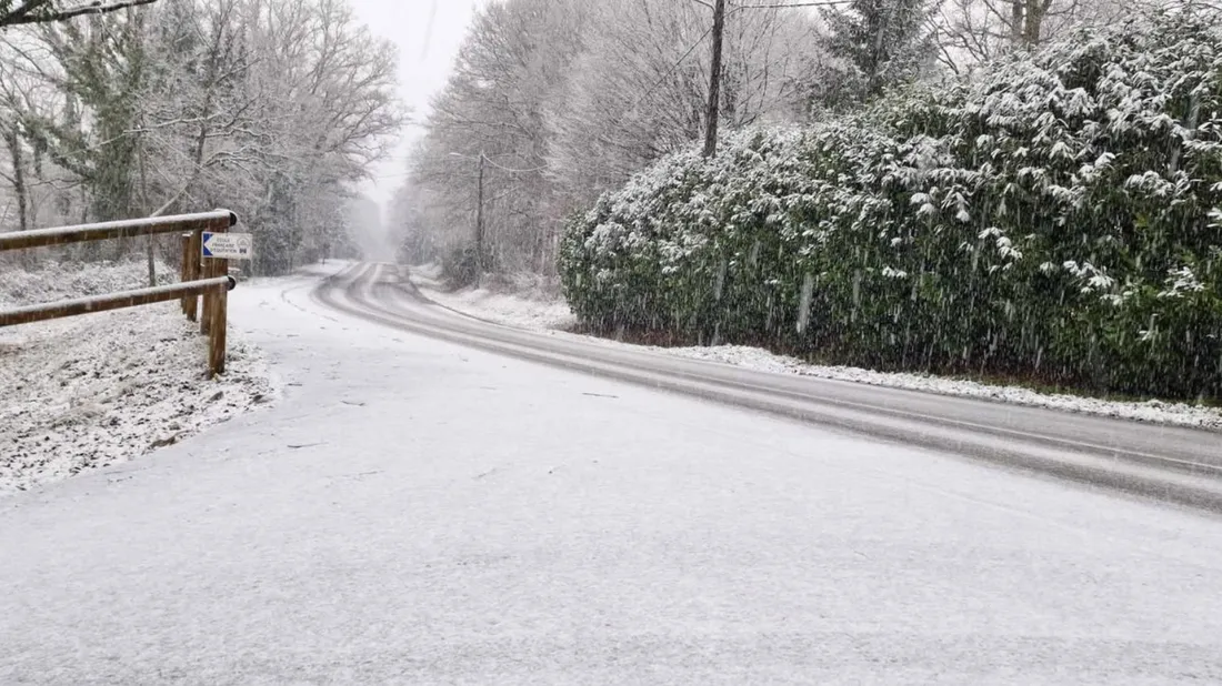 Neige