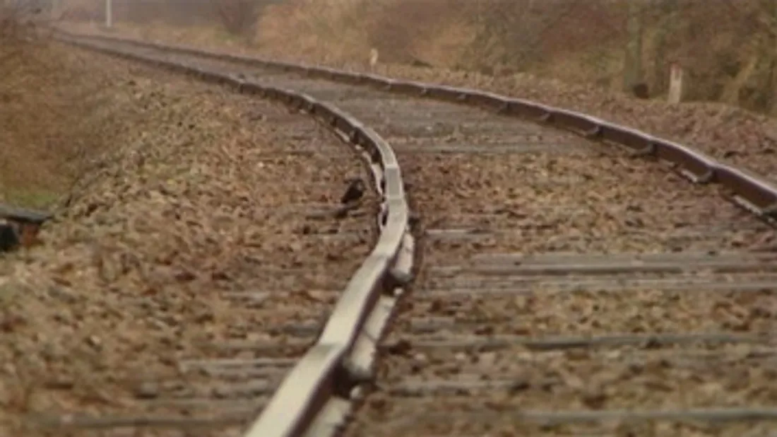 Rail