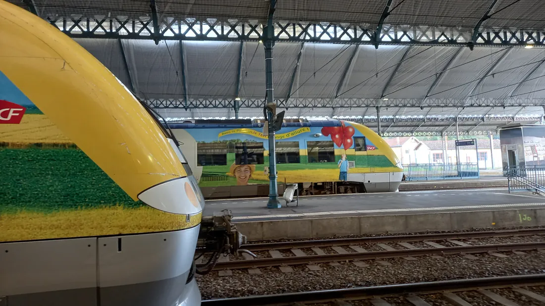 train