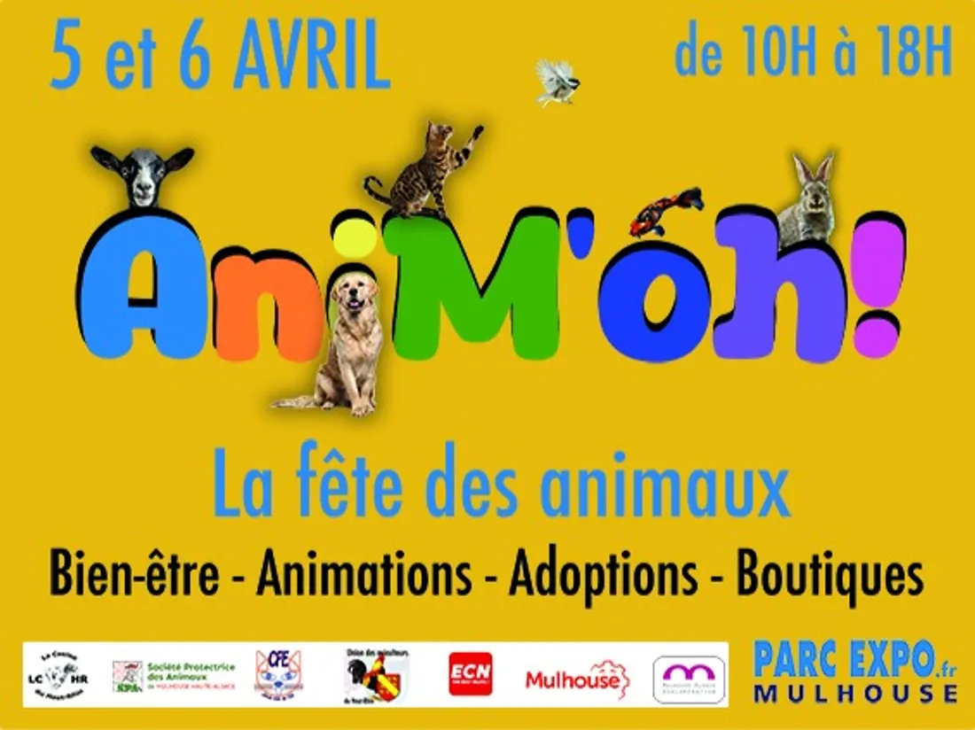 ANIMOH