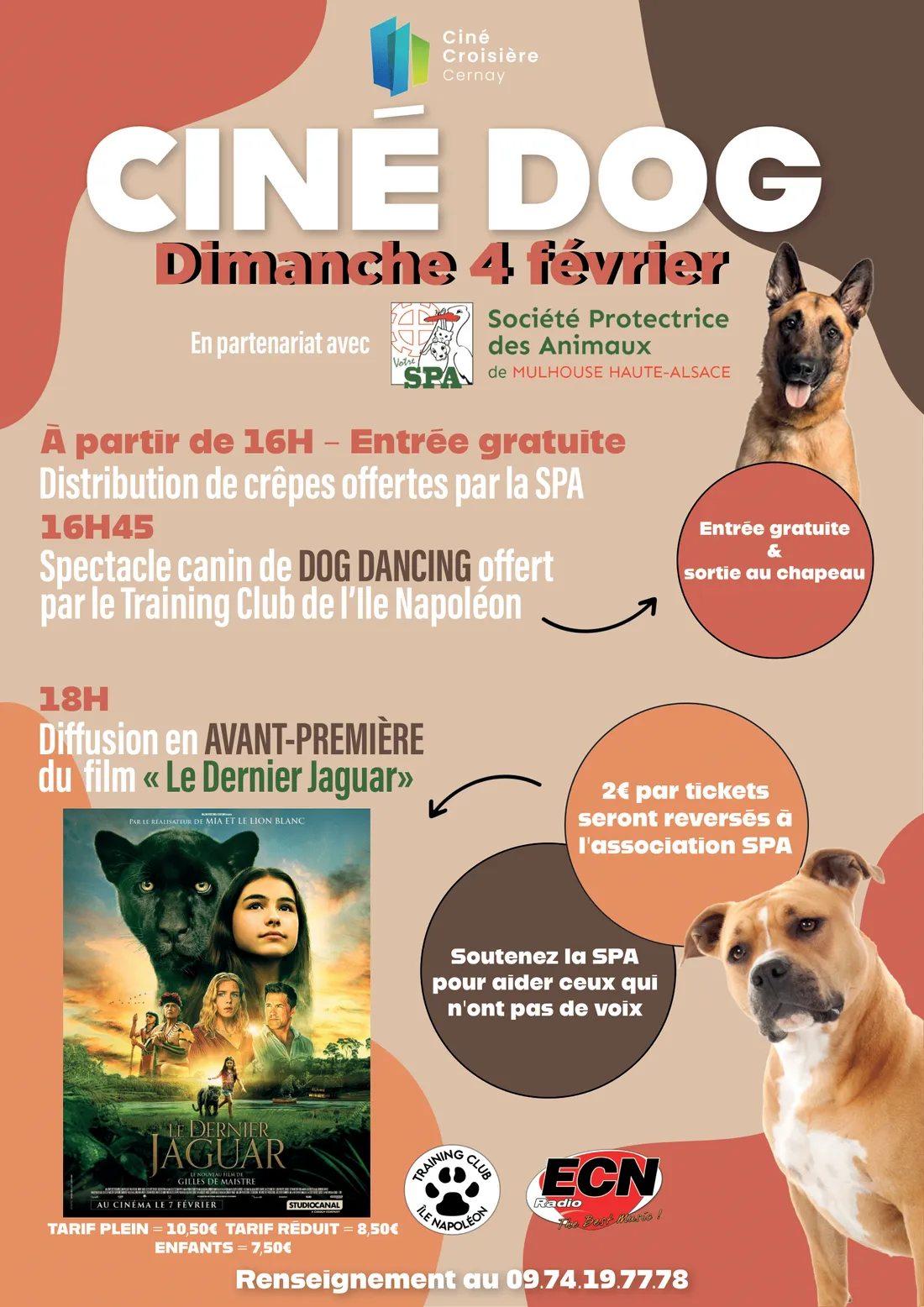 Ciné Dog au profit de la SPA de Mulhouse