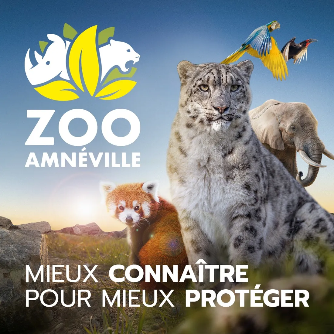 Zoo d'Amnéville - ITW Albane Pillaire