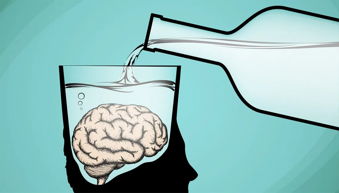 À quel moment est-il conseillé d'arrêter l'alcool pour préserver son cerveau ?