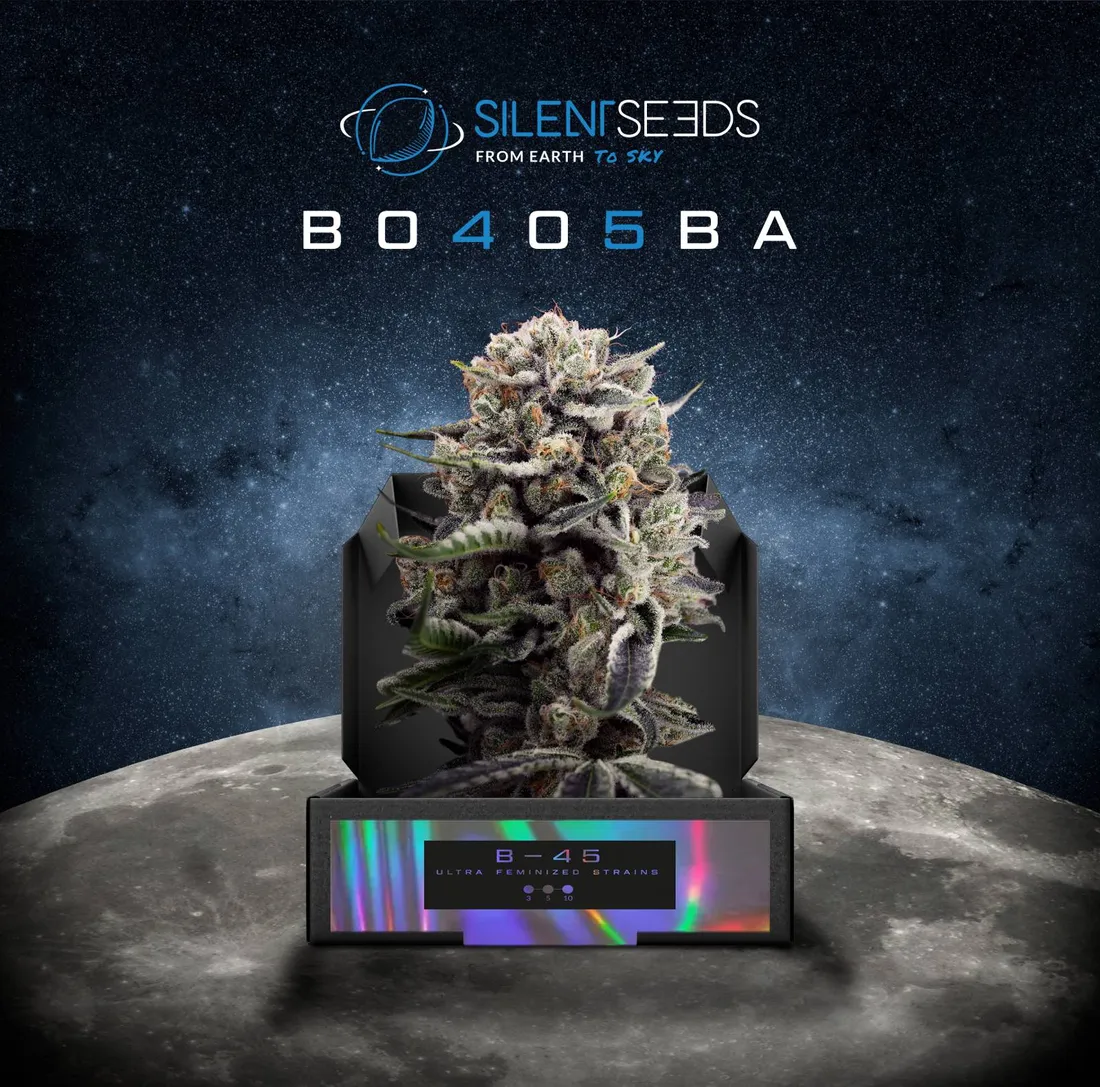 Booba se lance dans le CBD et la marijuana légale