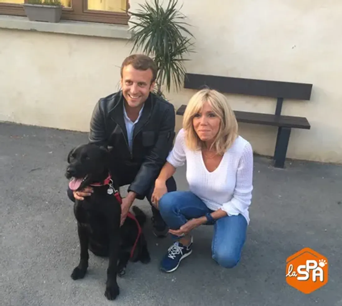 Le nouveau chien d'Emmanuel et Brigitte Macron fait le buzz
