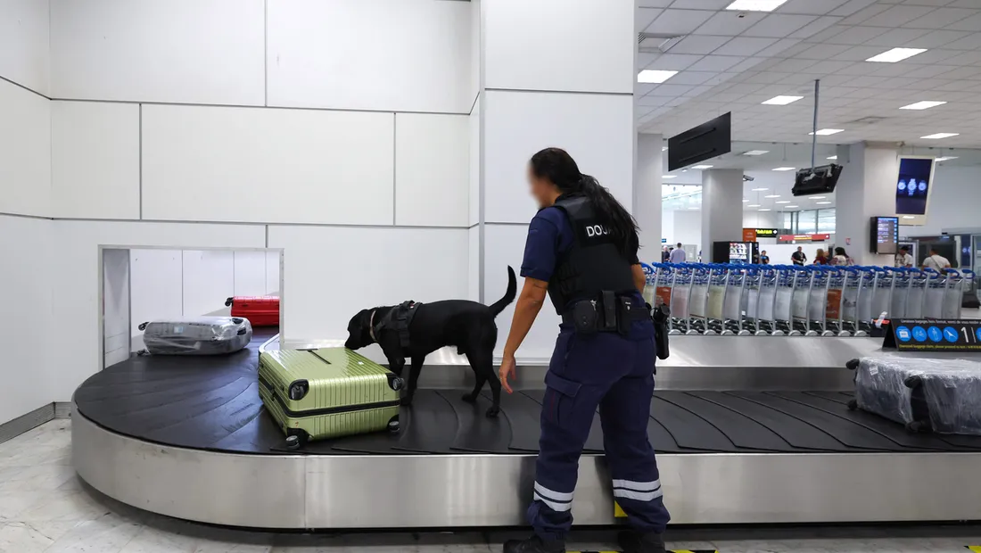 Aéroport d'Espagne : Arrêtée avec 2 kilos de cocaïne dans les cheveux 