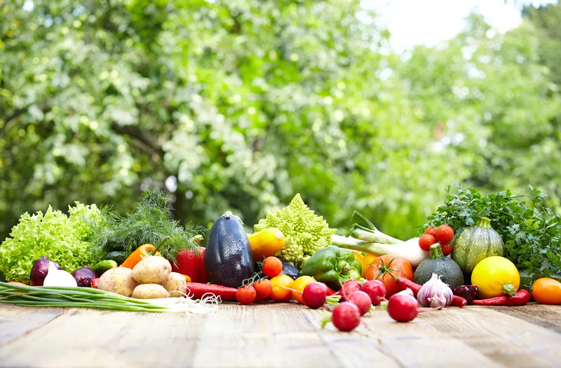La France face au choix de l'autosuffisance alimentaire ou de l'exportation massive