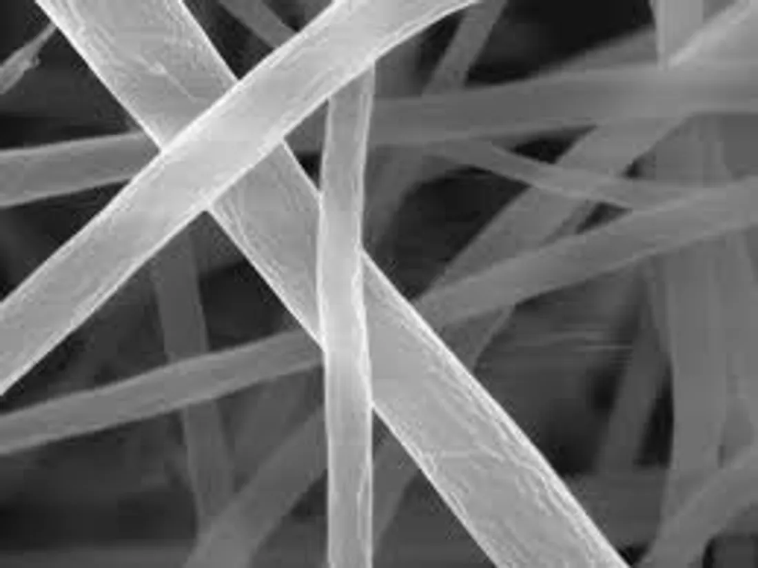 Des spaghettis ultrafins créés par des scientifiques mais pas dans le but de les manger