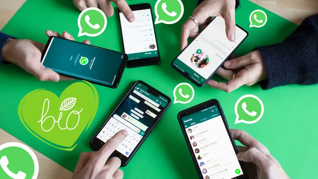 Les groupes WhatsApp : une charge mentale pour de nombreux utilisateurs français