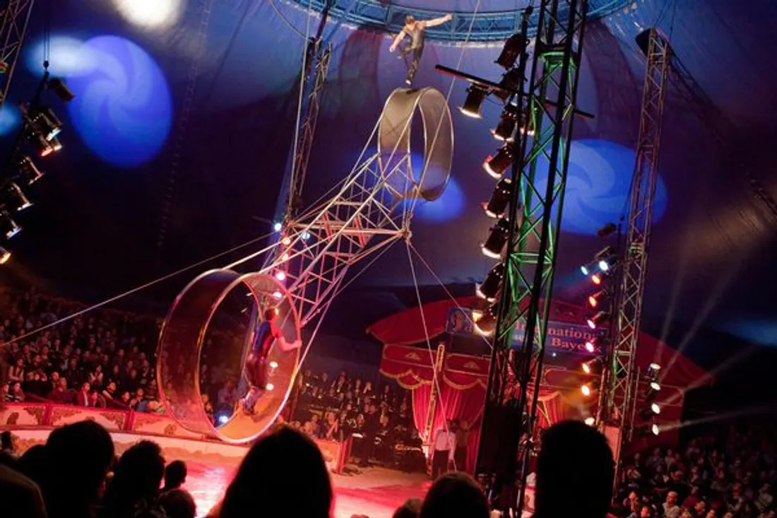Cirque Bayeux 2021