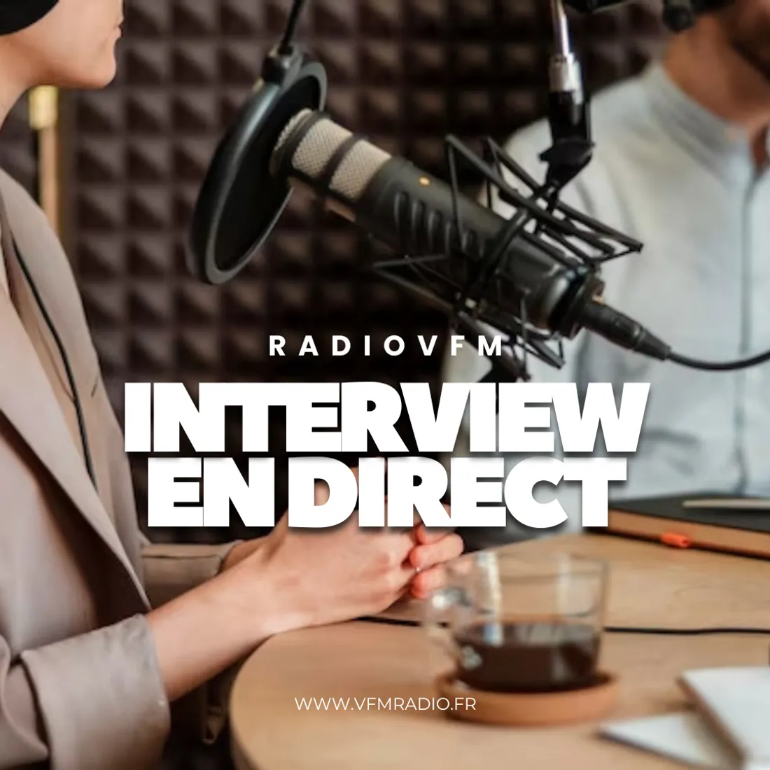 Entretiens
