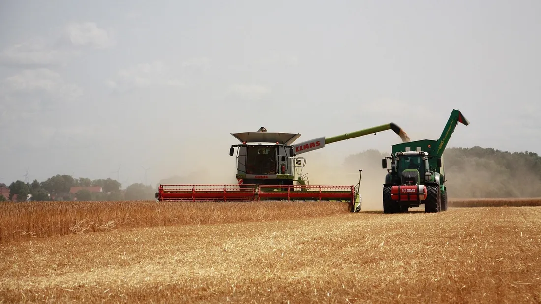 Agriculture - blé