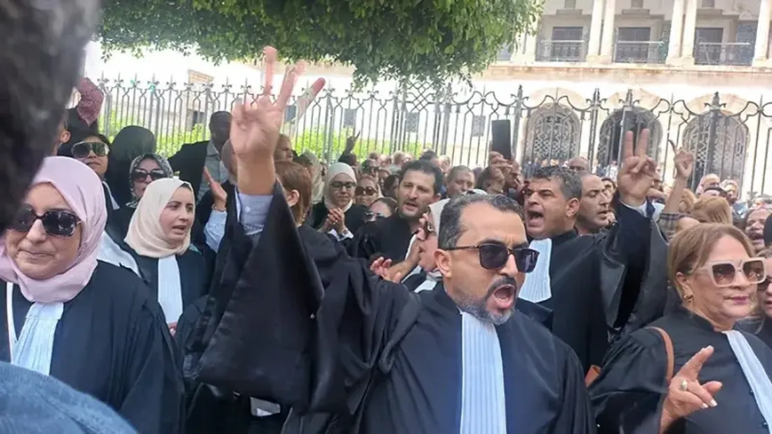 Avocats tunisie (justice)