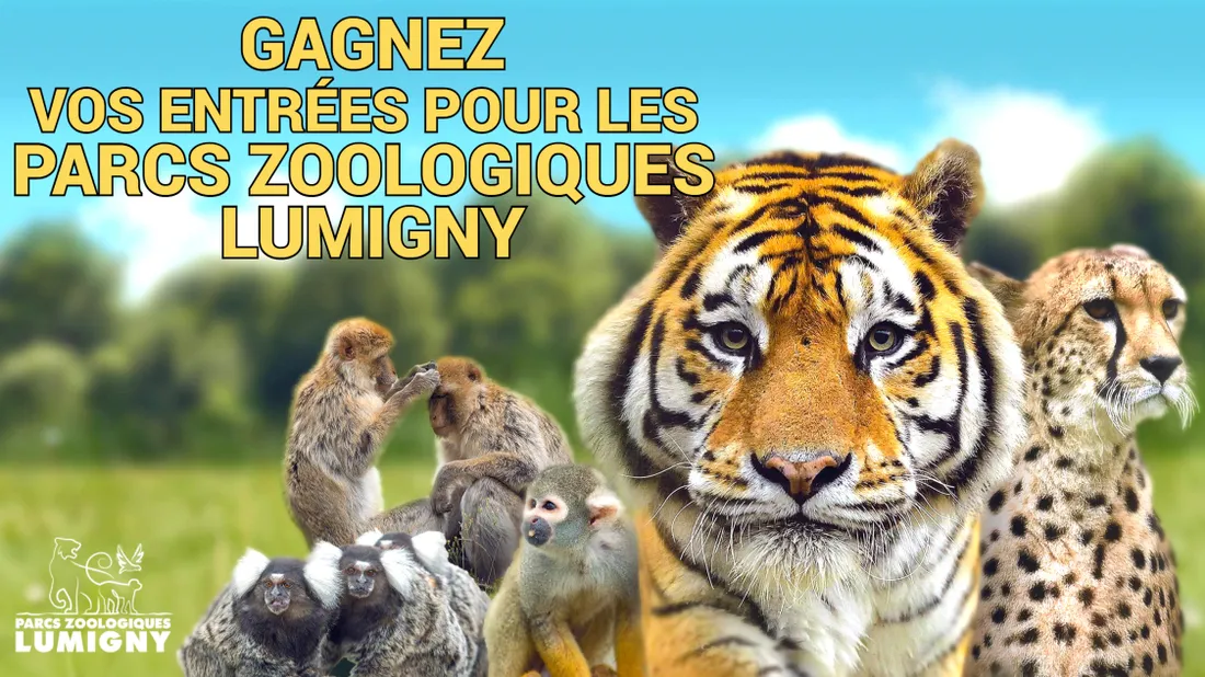 Parcs Zoologiques Lumigny 2023