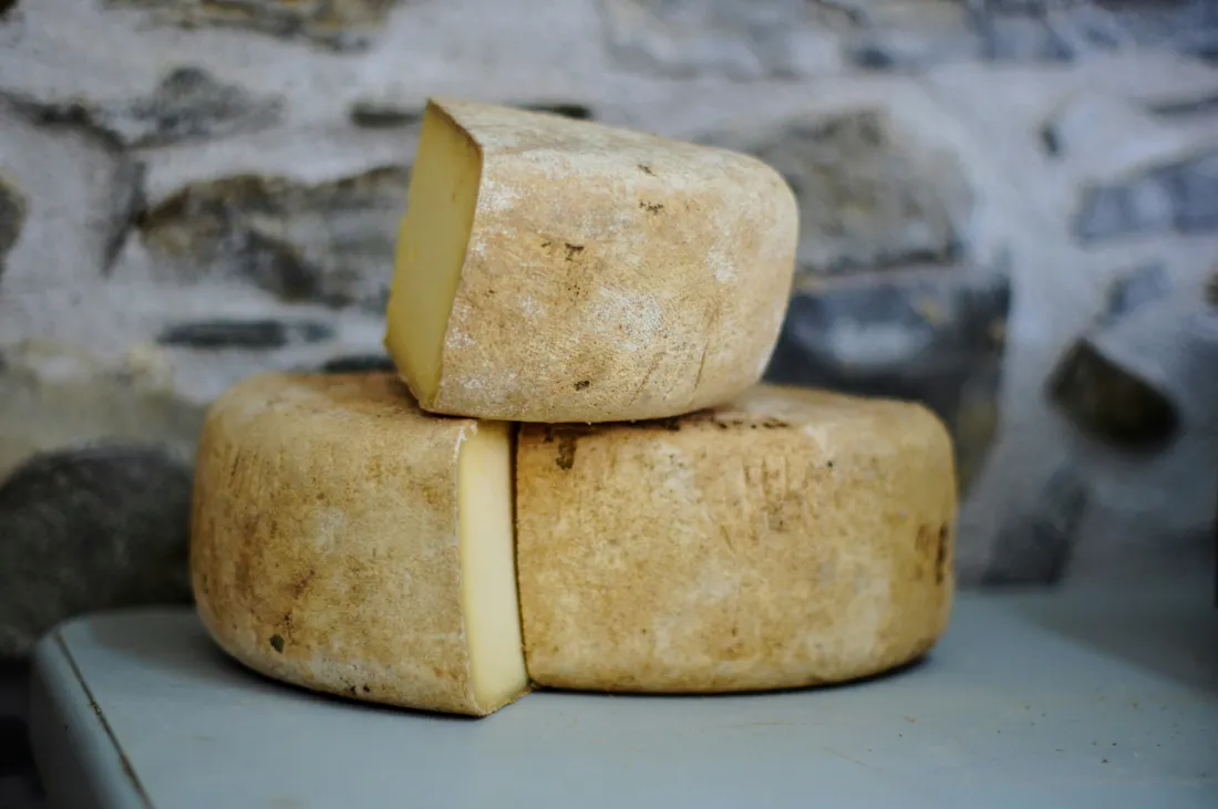 FROMAGE